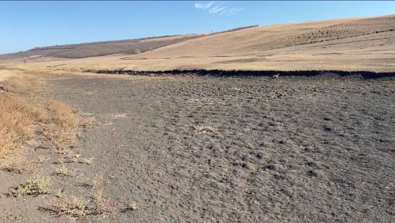 Un lac din sudul Moldovei a secat complet. Fermier: Catastrofă