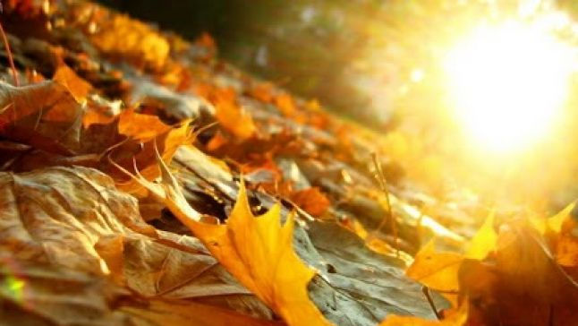 Înghețuri la sol și temperaturi tomnatice. Când se încălzește afară