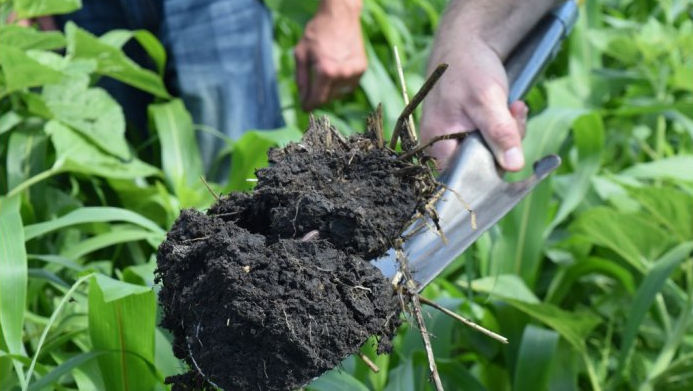 Studiu: Solul agricol are potențialul de a capta 27% din emisiile de carbon