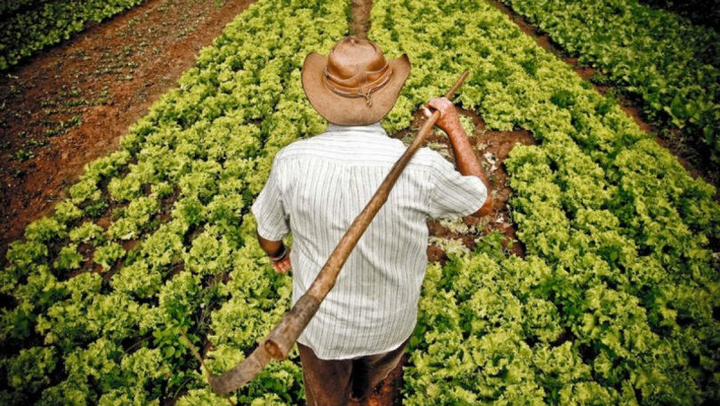 Eveniment dedicat Zilei Agricultorilor, organizat în Capitală: Cine va fi prezent în cadrul acestuia