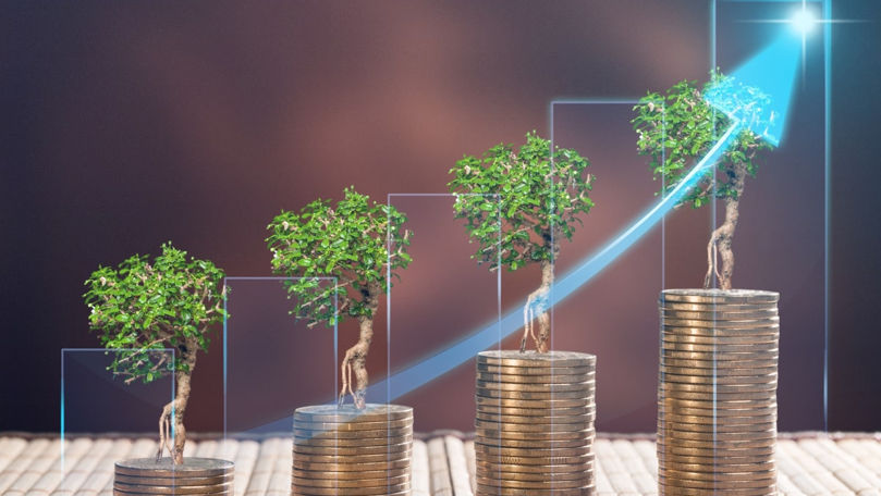 Investițiile străine directe în R. Moldova au crescut cu 50% în 2022