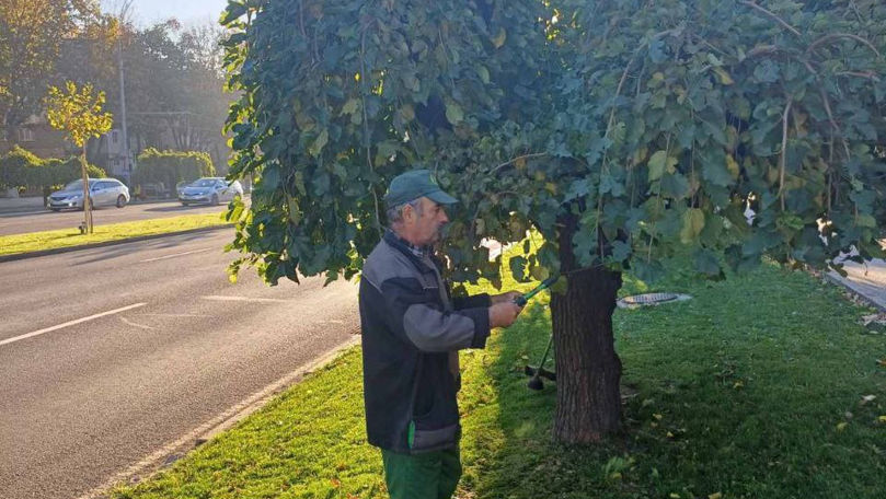 Ce lucrări au efectuat serviciile municipale în ultima săptămână