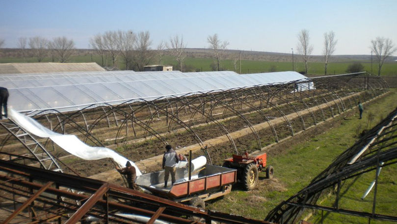 Activitatea unei companii agricole din Cahul, eficientizată digital