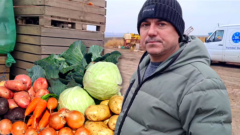 Un agricultor din Telenești stă cu roada în depozit: Distrugem tot ce e autohton