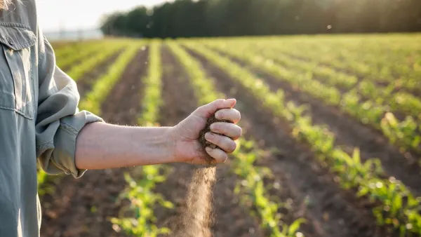 Prin ce transformări trebuie să treacă agricultorii în procesul de aderare