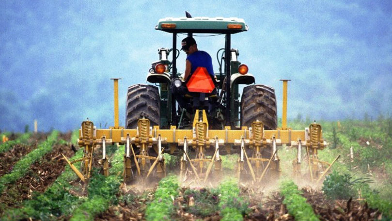 Fermierii vor primi 100 de milioane de lei în subvenții pentru anul 2023