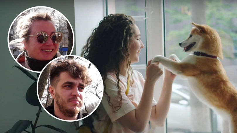Pești, pisică sau câine? Ce animale de companie au bălțenii