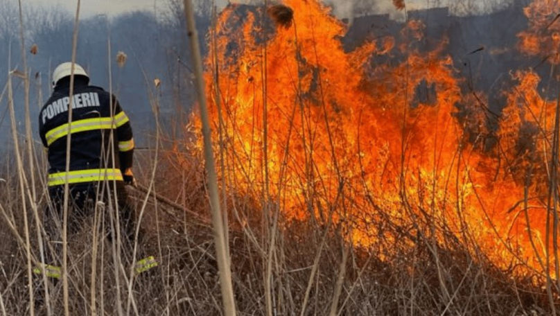 Incendiu de vegetație la Etulia: Au ars circa 300 metri pătrați de stufăriș