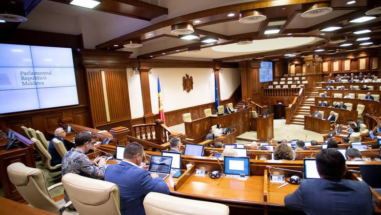 Sinteza ședinței plenare din 28 martie 2024