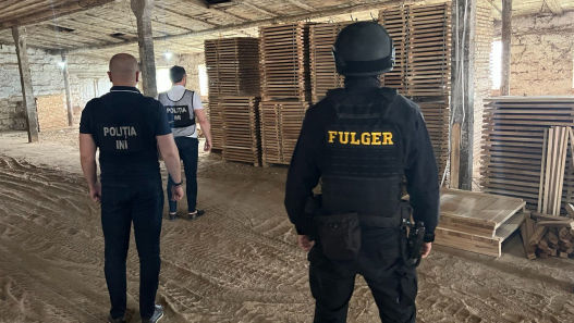 Contrabandă cu lemne, contracarată: Doi bărbați din Capitală, reținuți
