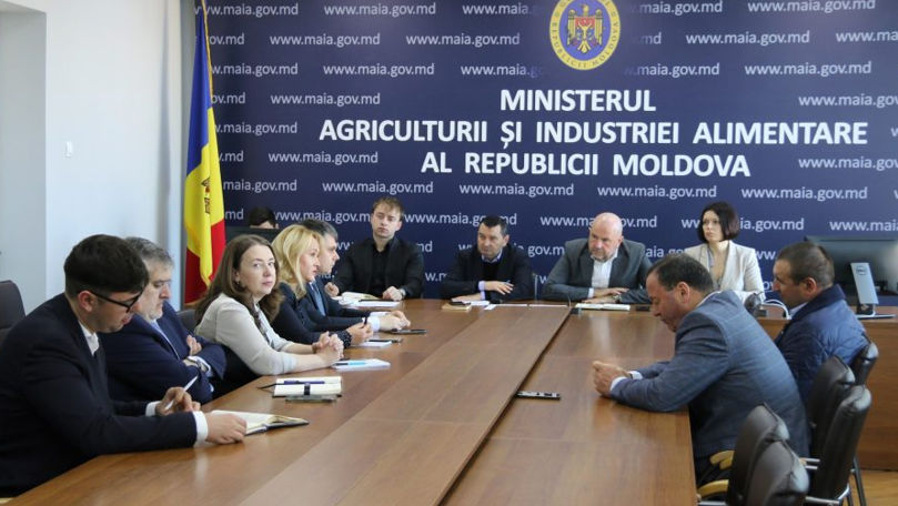 Problemele de la S.A. Floarea Soarelui: Ce soluții au fost găsite
