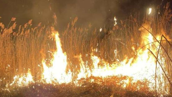 Incendiu de vegetație puternic la Bălți. Două hectare de stuf au ars în totalitate