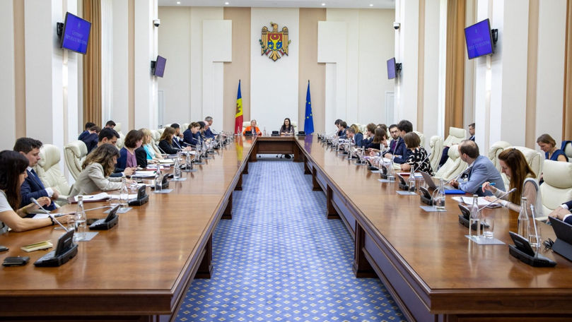 Aderarea la UE, discutată de Cristina Gherasimov cu membrii COEST