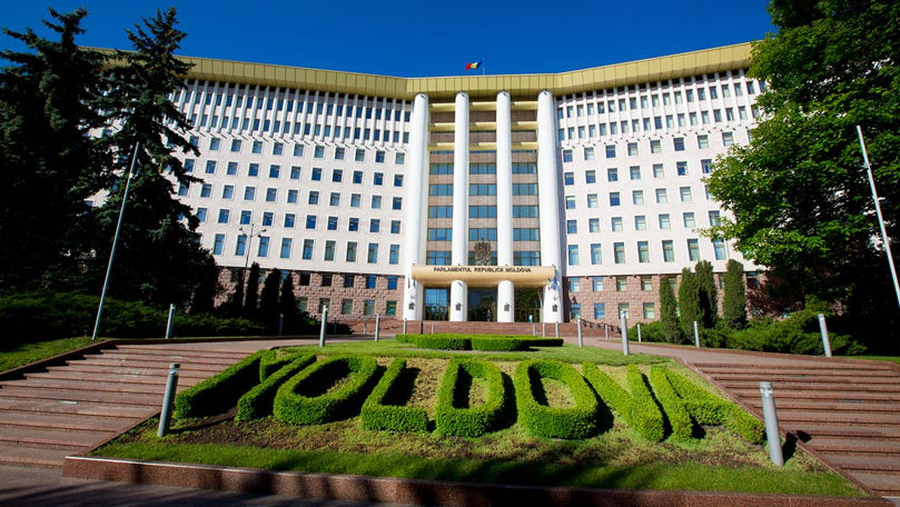 Audierile parlamentare pe cazul Anei-Maria vor avea loc pe 30 aprilie