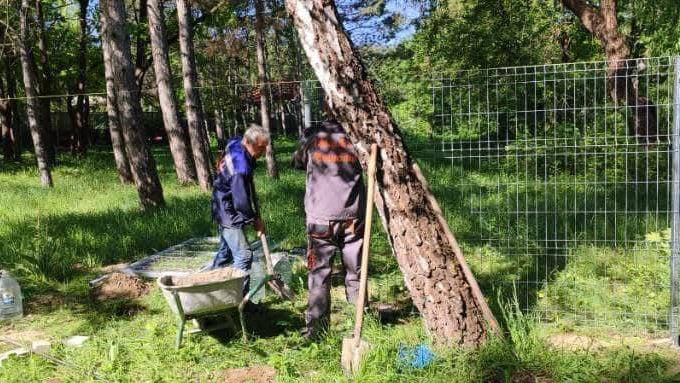În Parcul la Izvor va fi amenajat un spațiu destinat plimbării câinilor