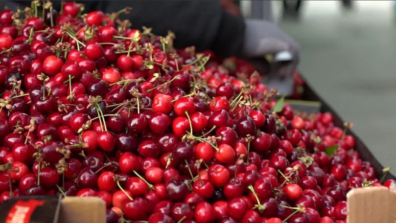 Bălți: La Piața Centrală au apărut primele cireșe. Cât costă un kilogram