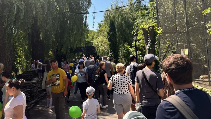 Îmbulzeală și cozi la Grădina Zoologică din Chișinău