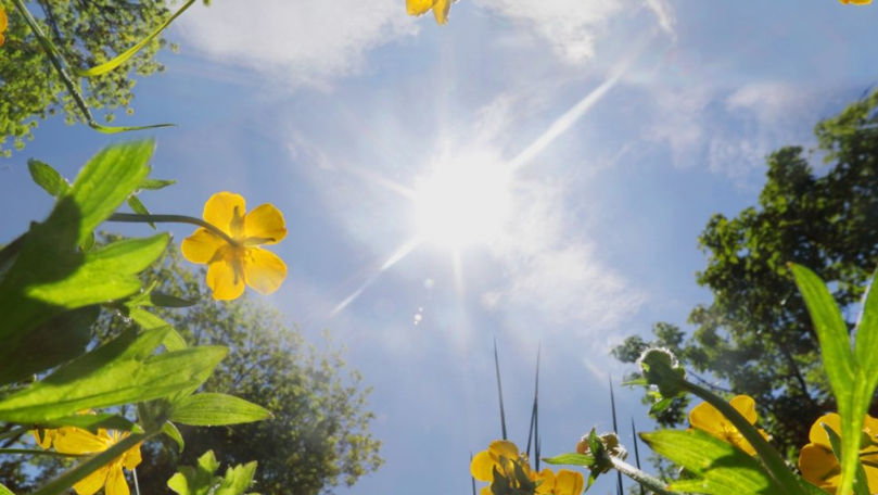 Meteo 3 iunie 2024: Vreme frumoasă și caldă în toată țara