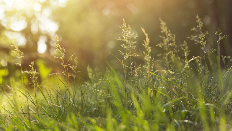 Ne așteaptă vreme mai caldă în weekend: Prognozele meteorologilor