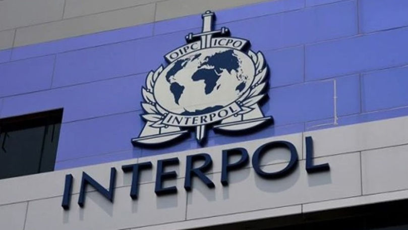 Cauza penală Interpol: Şapte angajaţi au fost suspendaţi din funcţii