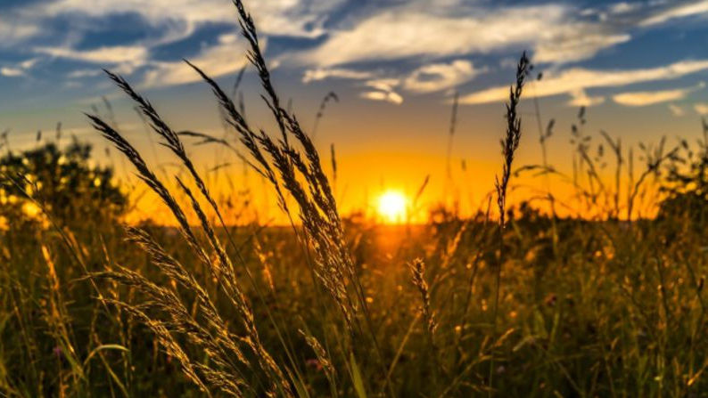 Ce temperaturi ne așteaptă în următoarele 24 de ore: Prognoza meteo