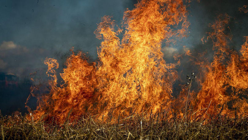 Incendiu major în California: Mii de persoane au fost evacuate