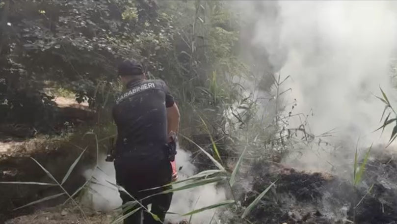 Incendiu stins de carabinieri în Parcul La Izvor din sectorul Buiucani