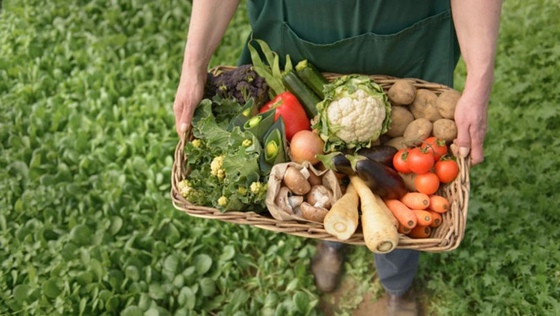 Opinii: România poate fi un bun generator de expertiză în agricultura organică