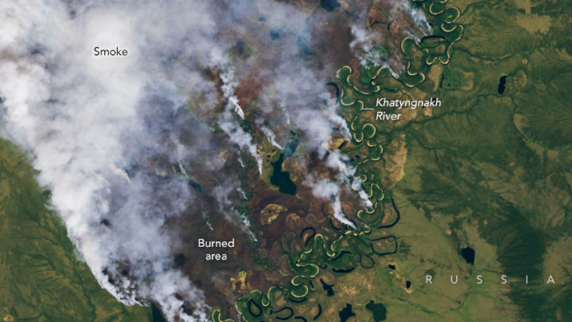 Arde Siberia. Peste un milion de hectare, mistuite de incendiile forestiere active
