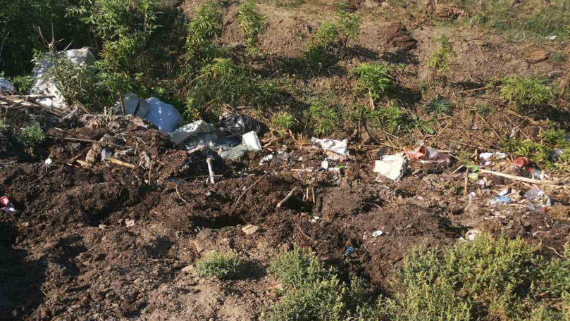 Gunoiști neautorizate la Briceni. Ce măsuri au luat inspectorii de mediu