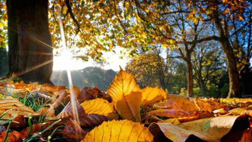 Avertizare meteorologică: Cod Galben de caniculă în Republica Moldova
