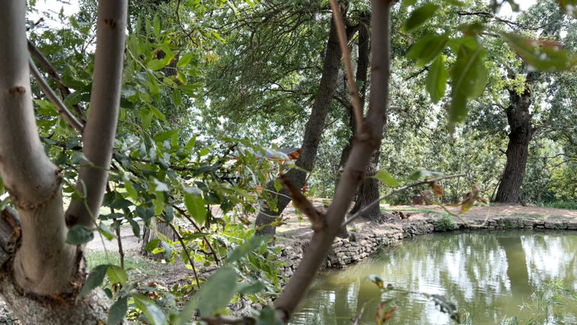 Dezvoltarea turismului rural la Hagimus: O zonă pitorească, amenajată
