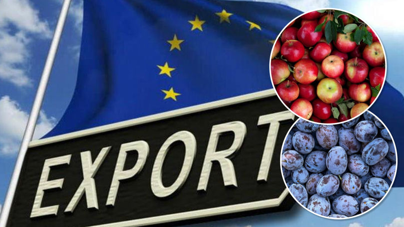 Au crescut exporturile de cireşe, mere şi prune pe piaţa europeană