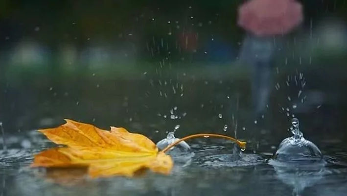 Meteo 7 octombrie 2024: Sunt prognozate ploi în toată țara. Ce maxime vom avea