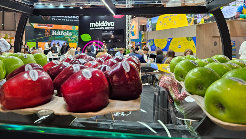 Fruit Attraction 2024: Exportatorii din Moldova, tot mai cunoscuți în UE