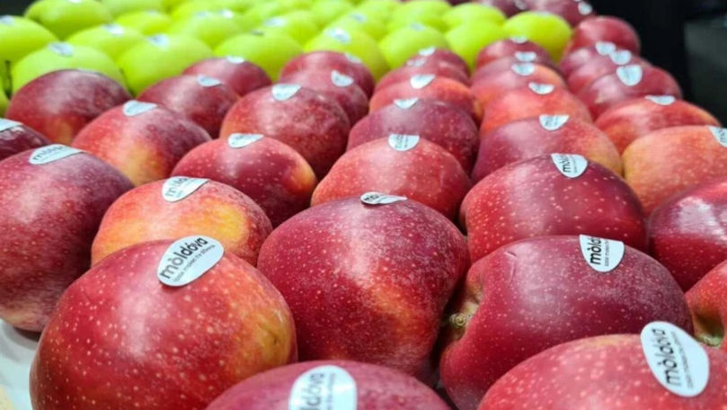 RO Fruits & Vegetables Show: Cresc exporturile moldovenești în România