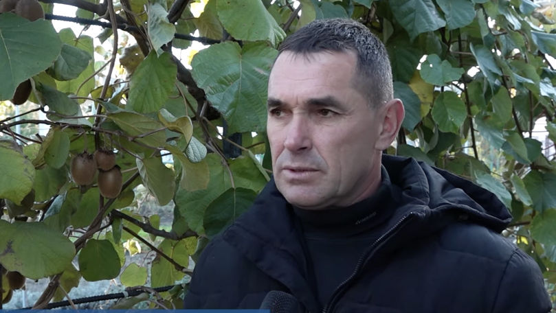 Un bărbat din Drochia și-a amenajat o grădină exotică în propria curte