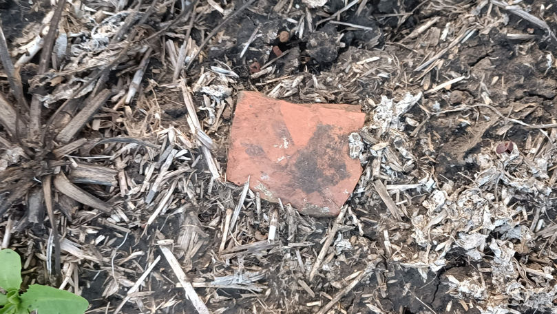 La Dondușeni a fost descoperită o nouă așezare Cucuteni-Tripolie