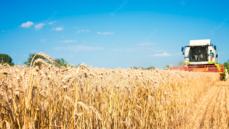 Ministerul Economiei, pesimist în prognoze: Producția agricolă va scădea
