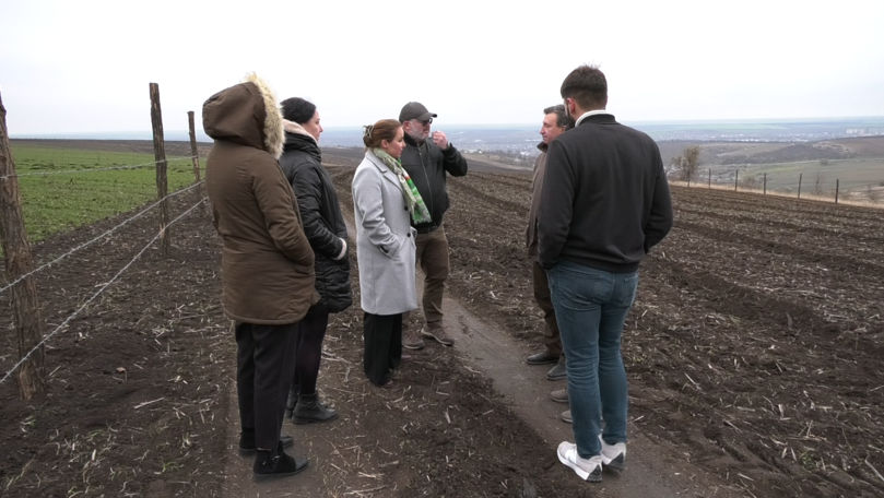 Căușeni va avea o pădure de 19 hectare de salcâm, sălcioară și frasin