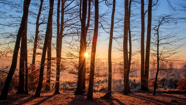 Cum va fi vremea în ultima zi a anului 2024: Prognozele meteorologilor