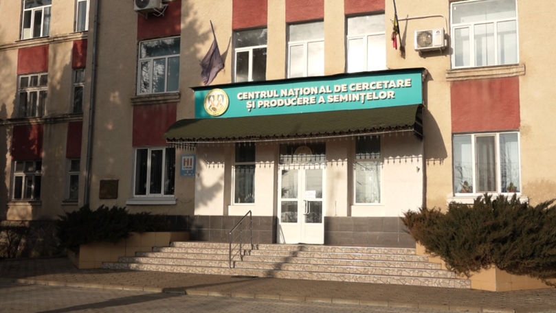 Primăria din Bălți a primit refuz: Nu va fi amenajată o grădină botanică