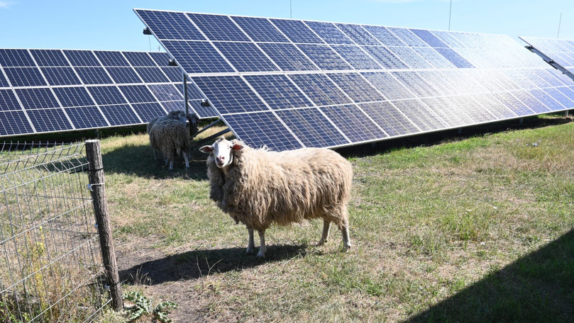 Energocom: Consumul de energie pentru 28 ianuarie, în scădere cu 2%