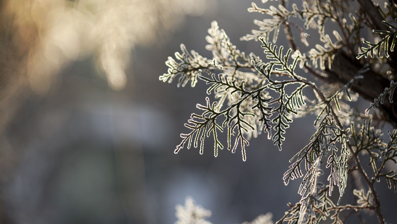 Meteo 24 februarie 2025: Vreme rece și cer variabil în toată țara