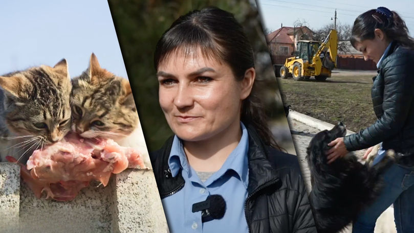 Șoferiță de troleibuz, salvatoarea patrupezilor fără stăpân din Chișinău