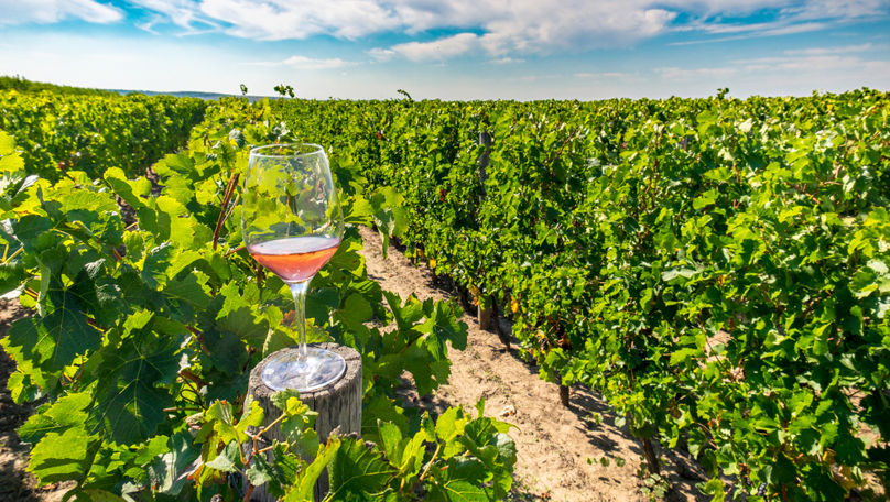 Producția de vin a României a scăzut drastic în ultimii ani