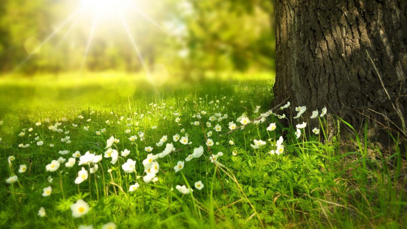 Soare și temperaturi de până la 20°C. Prognoza meteo pentru vineri