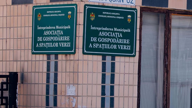 A fost numit un nou director al Spațiilor Verzi: Despre cine e vorba