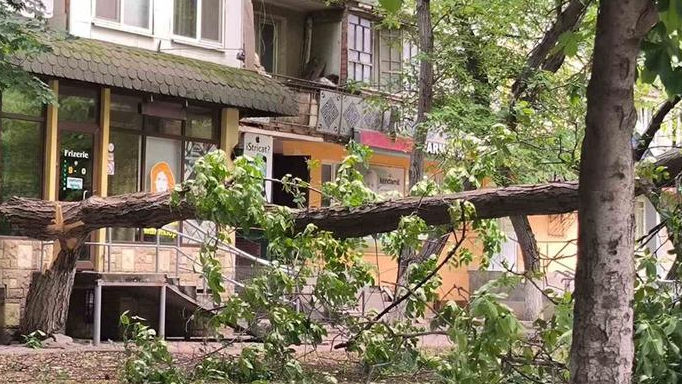 Chișinău: Mai mulți copii, la un pas de a fi striviți de o creangă
