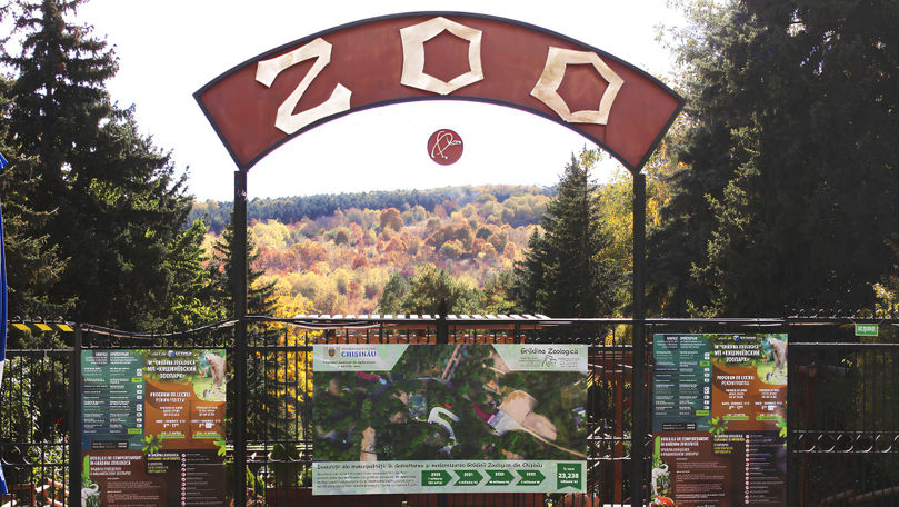 Cum animalele de la Grădina Zoologică din Chișinău fac față caniculei